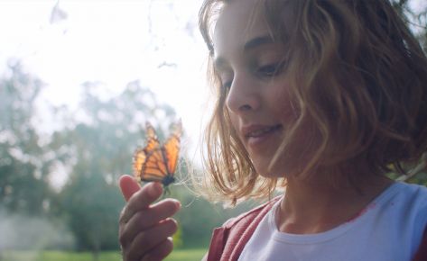 Butterfly // Short Film